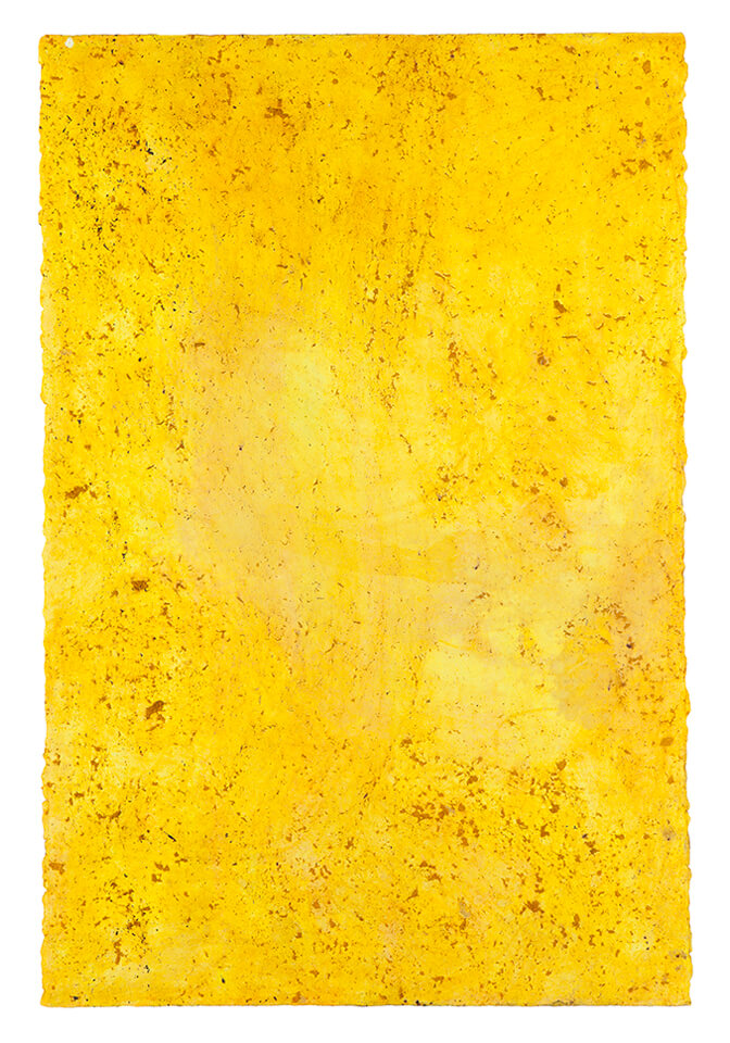 curcuma papel 19.jpg
